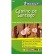 CAMINO DE SANTIAGO