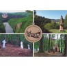 (9) 778 SVATOJÁNSKÉ PROUDY