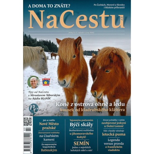 NACESTU 3/2019