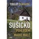 TOULKY ŠUMAVOU - SUŠICKO POHLEDEM MARIE MALÉ