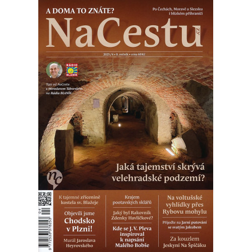 NACESTU 4/2025