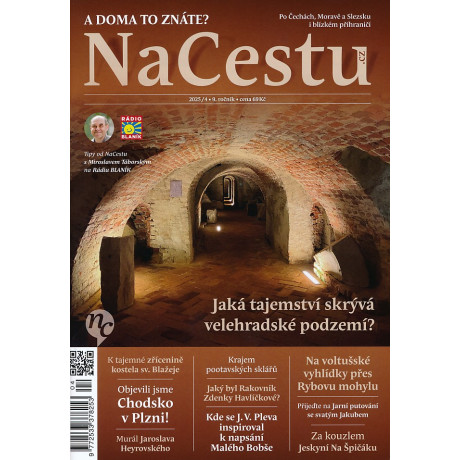 NACESTU 4/2025