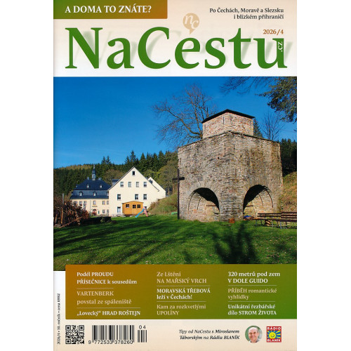NACESTU 4/2026